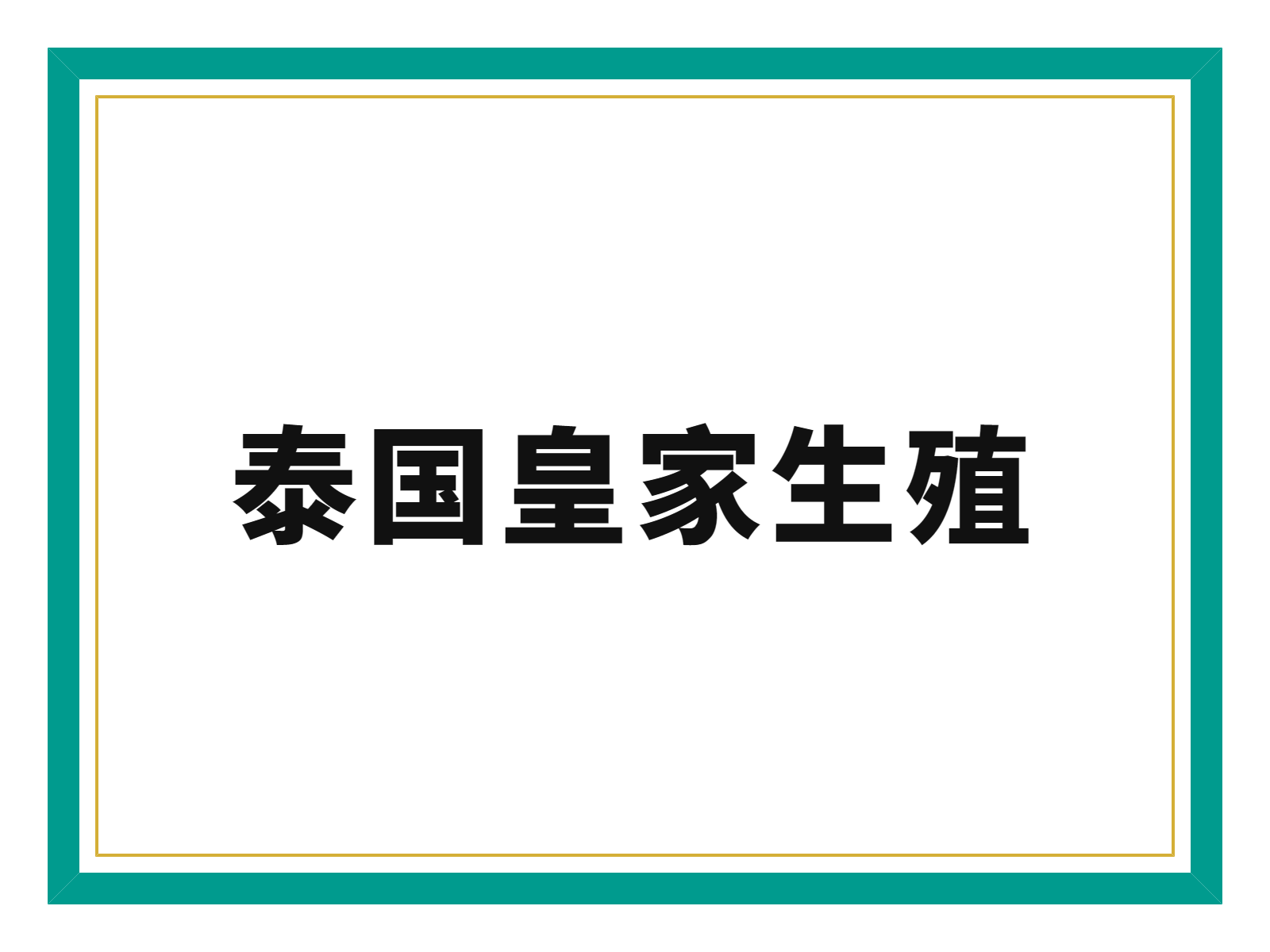 Y染色体AZFb+c缺失，无精子症，国内两次显微取精失败——泰国REP医院用长期激素预处理+高倍显微取精+ICSI+无创PGT，终获龙凤胎